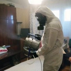 Дезинфекция от клопов в Белово