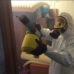 Уничтожение клопов в квартире. Белово
